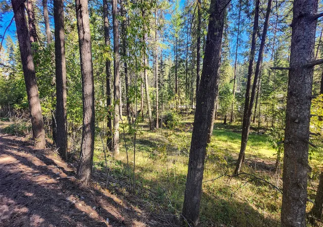2nd image of 1505 Kootenai River Rd, Libby, MT 59923 | MLS# 30072139