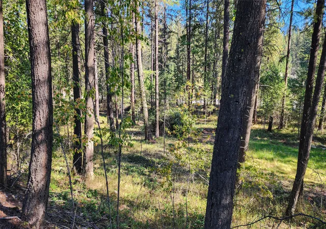 5th image of 1505 Kootenai River Rd, Libby, MT 59923 | MLS# 30072139