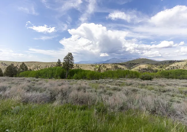 Homes for sale in Townsend, MT | 386 Ross Gulch Rd, Townsend, MT 59644 | MLS# 30072281