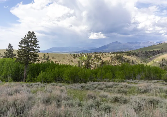 Homes for sale in Townsend, MT | 386 Ross Gulch Rd, Townsend, MT 59644 | MLS# 30072281