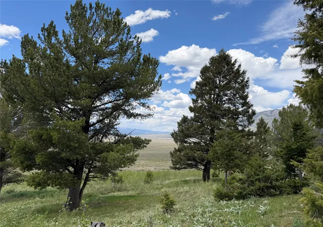 Homes for sale in Cameron, MT | Lot 2 & 4a Continental Divide Rd, Cameron, MT 59720 | MLS# 30072362