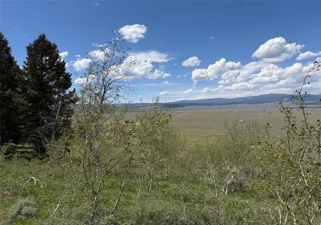 Homes for sale in Cameron, MT | Lot 2 & 4a Continental Divide Rd, Cameron, MT 59720 | MLS# 30072362