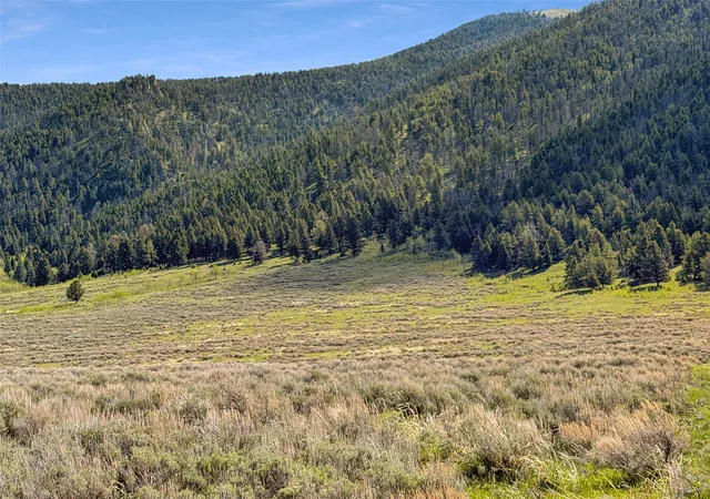 Homes for sale in Cameron, MT | Lot 2 & 4A Continental Divide Rd, Cameron, MT 59720 | MLS# 30072362