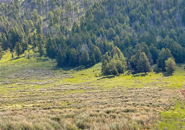 Homes for sale in Cameron, MT | Lot 2 & 4A Continental Divide Rd, Cameron, MT 59720 | MLS# 30072362