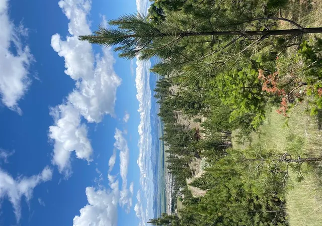 Photo 4 of Land for sale at 1242 Winscott Ln, Helena, MT 59601 | MLS# 30069291 | Listing updated on 2026-07-01