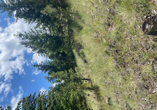Photo 5 of Land for sale at 1242 Winscott Ln, Helena, MT 59601 | MLS# 30069291 | Listing updated on 2026-07-01