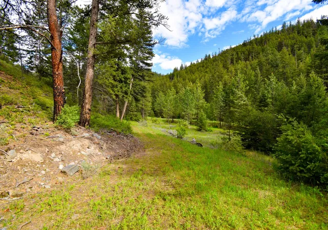 Homes for sale in Plains, MT | Tract 1 Henry Creek Rd, Plains, MT 59859 | MLS# 30072487