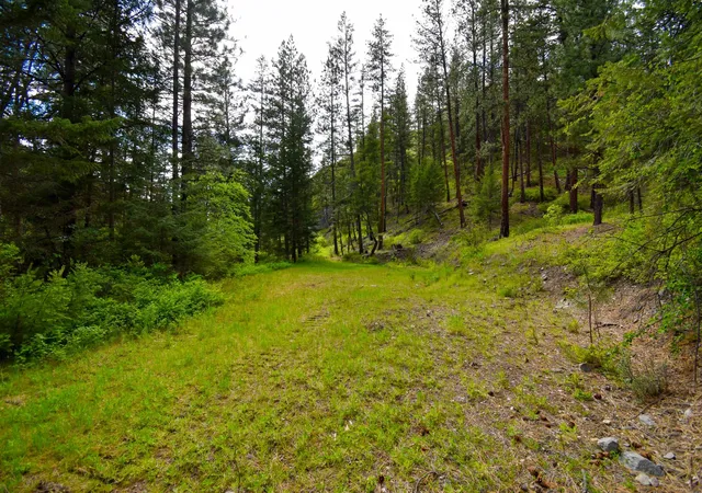 Homes for sale in Plains, MT | Tract 1 Henry Creek Rd, Plains, MT 59859 | MLS# 30072487
