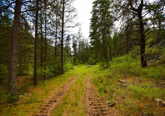 Homes for sale in Plains, MT | Tract 1 Henry Creek Rd, Plains, MT 59859 | MLS# 30072487