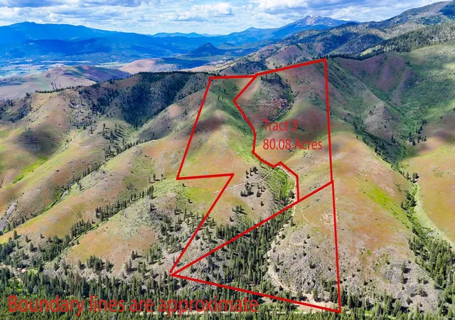 Homes for sale in Plains, MT | Tract 3 Henry Creek Rd, Plains, MT 59859 | MLS# 30072491