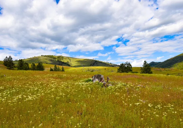 Homes for sale in Plains, MT | Tract 2 Henry Creek Rd, Plains, MT 59859 | MLS# 30072488