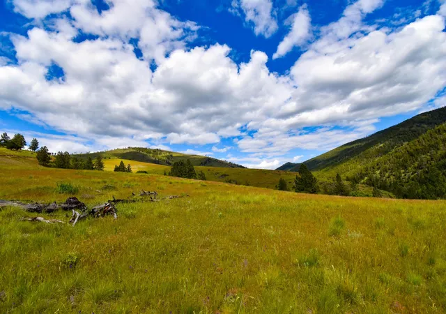 Homes for sale in Plains, MT | Tract 2 Henry Creek Rd, Plains, MT 59859 | MLS# 30072488