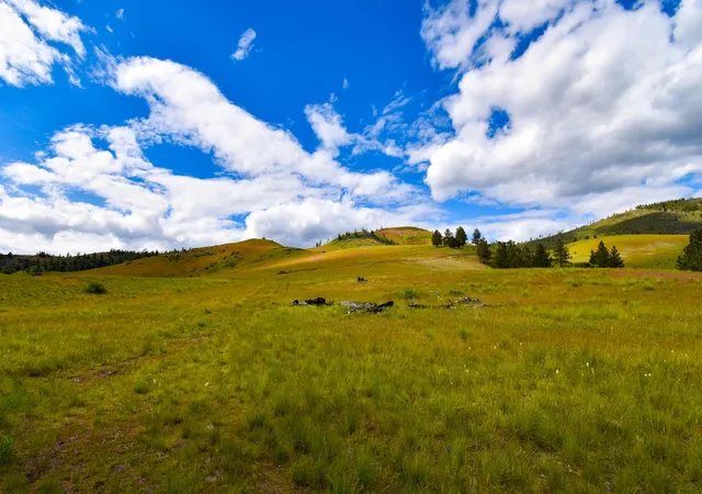 Homes for sale in Plains, MT | Tract 2 Henry Creek Rd, Plains, MT 59859 | MLS# 30072488