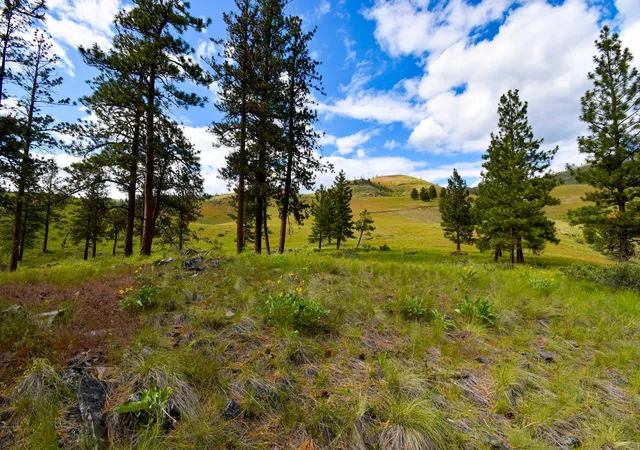 Homes for sale in Plains, MT | Tract 2 Henry Creek Rd, Plains, MT 59859 | MLS# 30072488