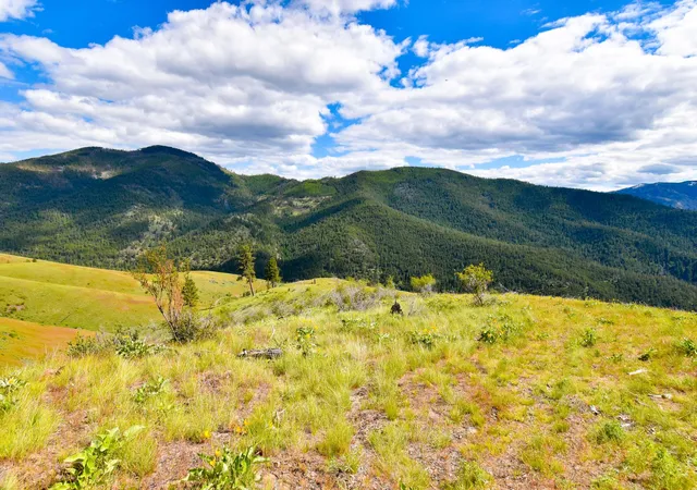 Photo 2 of Land for sale at 285 Henry Crk Rd, Plains, MT 59859 | MLS# 30072493 | Listing updated on 2026-07-01