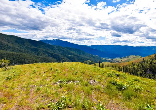 Photo 3 of Land for sale at 285 Henry Crk Rd, Plains, MT 59859 | MLS# 30072493 | Listing updated on 2026-07-01