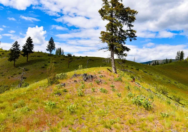 Photo 4 of Land for sale at 285 Henry Crk Rd, Plains, MT 59859 | MLS# 30072493 | Listing updated on 2026-07-01