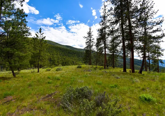 Photo 5 of Land for sale at 285 Henry Crk Rd, Plains, MT 59859 | MLS# 30072493 | Listing updated on 2026-07-01