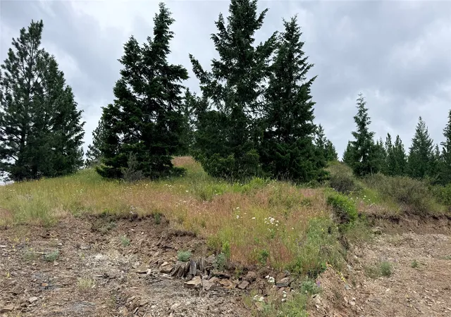 28th image of Nhn Johnson Draw Rd, Rexford, MT 59930 | MLS# 30072539