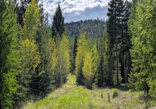 4th image of 161 Bernard Creek Rd, Kila, MT 59920 | MLS# 30072456