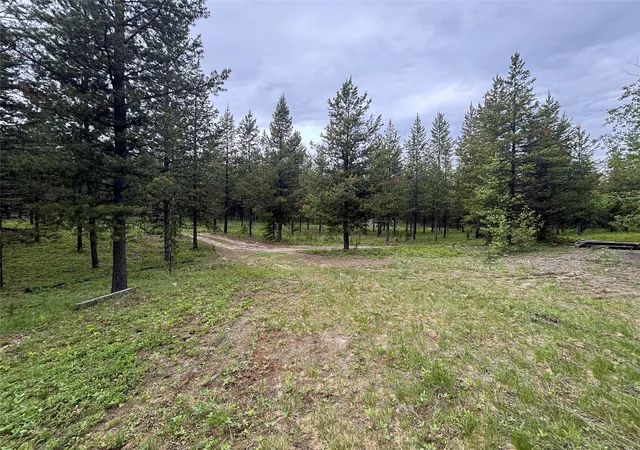 51st image of 11532 North Fork Rd, Polebridge, MT 59928 | MLS# 30072633