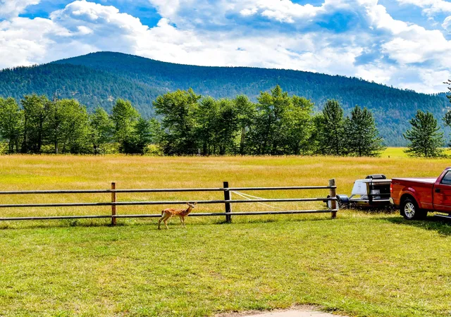 56th image of 42377 Windy Ridge Ln, Ronan, MT 59864 | MLS# 30072700