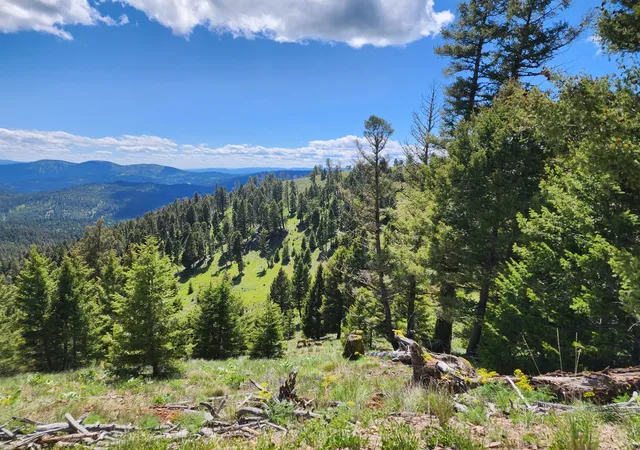 Photo 19 of Land for sale at Lot 26 Westridge Rd, Helmville, MT 59843 | MLS# 30072764 | Listing updated on 2026-07-30