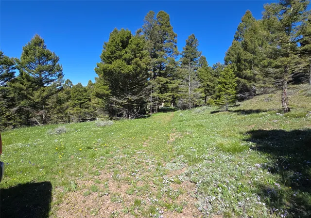 Photo 1 of Land for sale at Lot 26 Westridge Rd, Helmville, MT 59843 | MLS# 30072764 | Listing updated on 2026-07-30