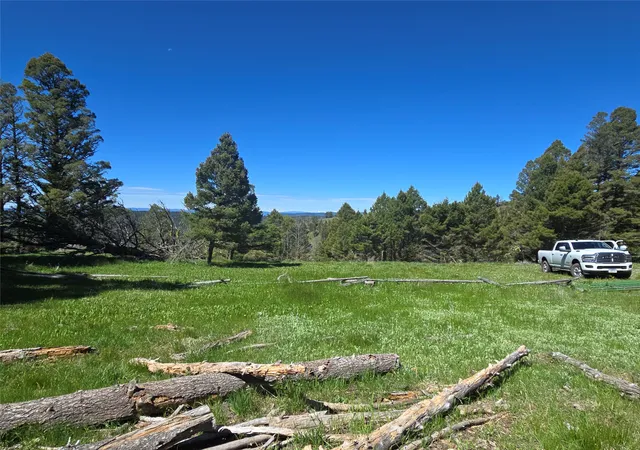 Photo 2 of Land for sale at Lot 26 Westridge Rd, Helmville, MT 59843 | MLS# 30072764 | Listing updated on 2026-07-30