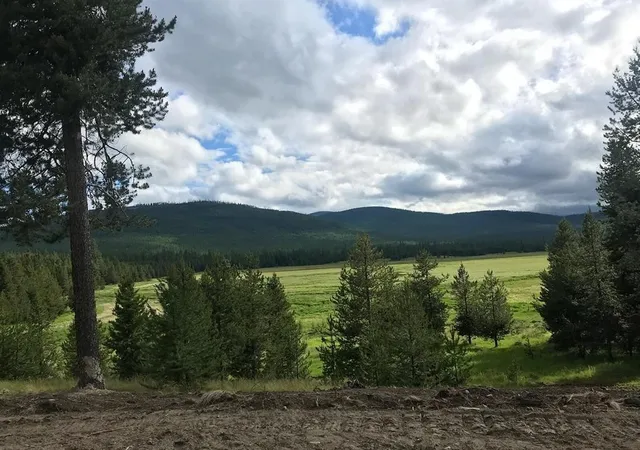 Homes for sale in Marion, MT | Tract 2 Mcgregors Meadow Rd W, Marion, MT 59925 | MLS# 30072811