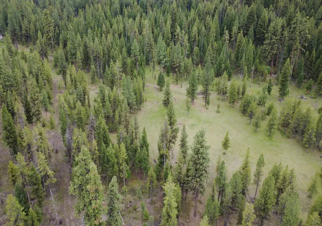 3rd image of Tract A West Meadow Rd, Darby, MT 59829 | MLS# 30072591