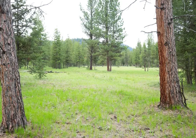 5th image of Tract A West Meadow Rd, Darby, MT 59829 | MLS# 30072591