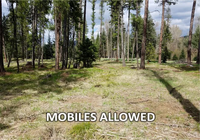 3rd image of 79 Fallen Bear Ln, Libby, MT 59923 | MLS# 30072887