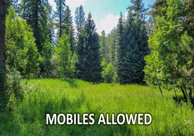 3rd image of 349 Champion Haul Rd S, Libby, MT 59923 | MLS# 30072892