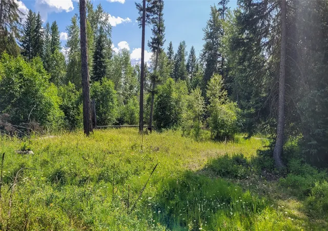 5th image of 349 Champion Haul Rd S, Libby, MT 59923 | MLS# 30072892
