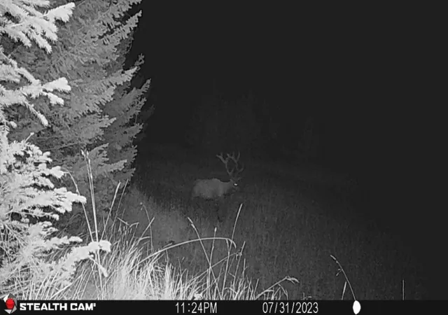 35th image of Crow Bar Indian Creek Rd, Townsend, MT 59644 | MLS# 30072903