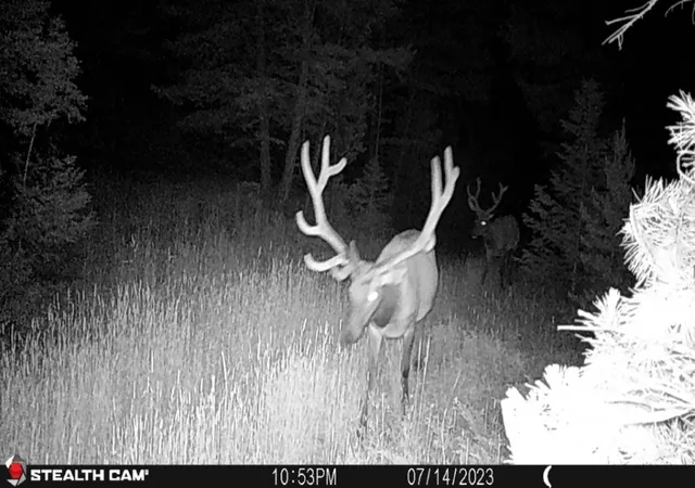 Photo 5 of Land for sale at Crow Bar Indian Crk Rd, Townsend, MT 59644 | MLS# 30072903 | Listing updated on 2026-07-31