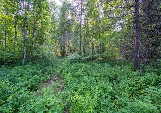 28th image of 000 Dent Ave, Troy, MT 59935 | MLS# 30072932