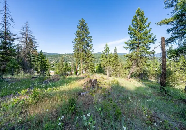 3rd image of 000 Dent Ave, Troy, MT 59935 | MLS# 30072932
