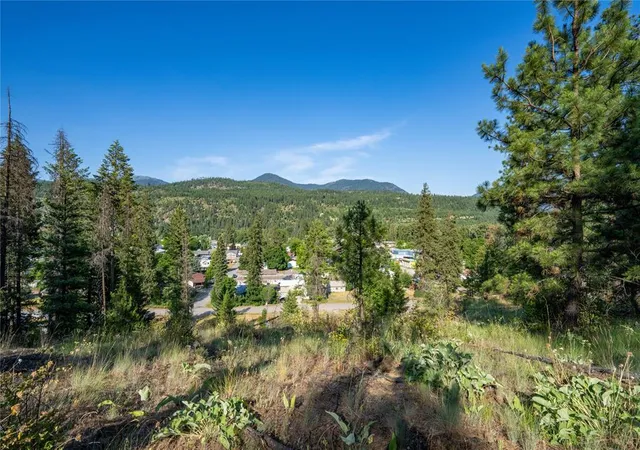4th image of 000 Dent Ave, Troy, MT 59935 | MLS# 30072932