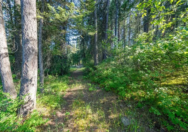 5th image of 000 Dent Ave, Troy, MT 59935 | MLS# 30072932