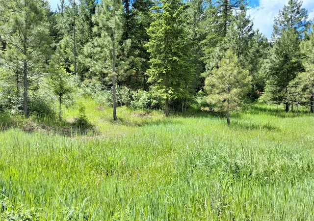 Homes for sale in Superior, MT | Lot 5 Tami Dr E, Superior, MT 59872 | MLS# 30072974
