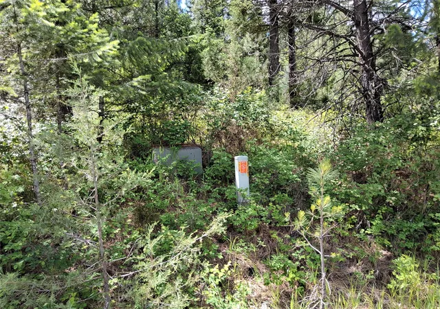 Homes for sale in Superior, MT | 746 Tami Dr E, Superior, MT 59872 | MLS# 30072978