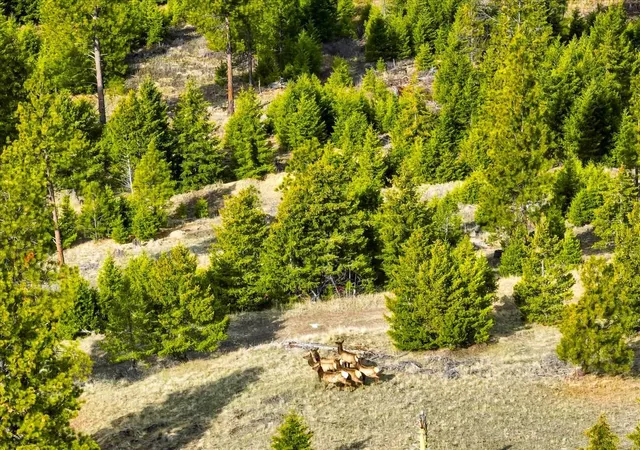 Photo 3 of Land for sale at Nhn Haskill Ranch Rd, Kila, MT 59920 | MLS# 30072851 | Listing updated on 2026-08-01