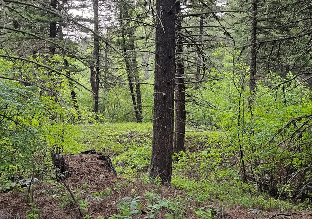 Homes for sale in Cascade, MT | Nhn Upper Sawmill Creek Ln, Cascade, MT 59421 | MLS# 30073008