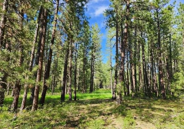 Homes for sale in Hot Springs, MT | Nhn Old Hot Springs Road Road, Hot Springs, MT 59845 | MLS# 30072982