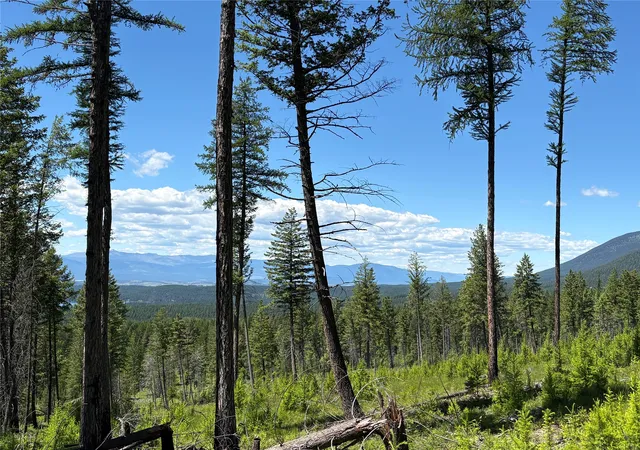 Homes for sale in Eureka, MT | 8025 Therriault Pass Rd, Eureka, MT 59917 | MLS# 30073283