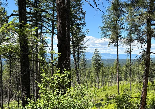 Homes for sale in Eureka, MT | 8025 Therriault Pass Rd, Eureka, MT 59917 | MLS# 30073283