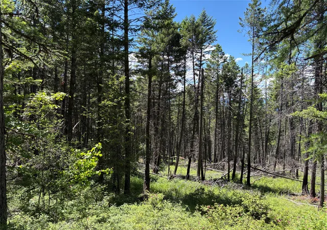 Homes for sale in Eureka, MT | 8025 Therriault Pass Rd, Eureka, MT 59917 | MLS# 30073283