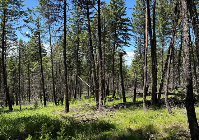 Homes for sale in Eureka, MT | 8025 Therriault Pass Rd, Eureka, MT 59917 | MLS# 30073283